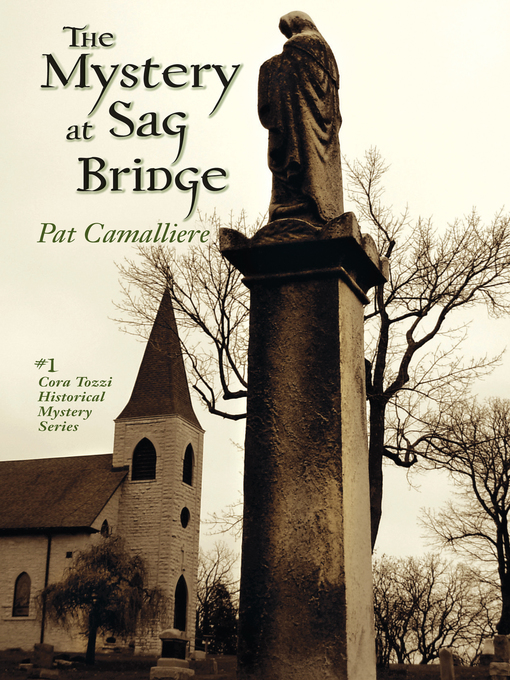 Title details for The Mystery at Sag Bridge by Pat Camalliere - Wait list